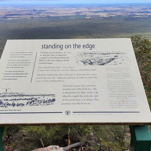 Caloma lookout