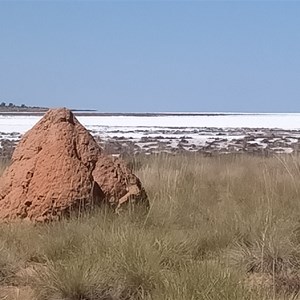 Lake Disappointment