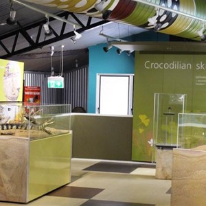 Inside of the crocodile museum