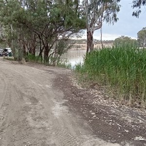 Waikerie (Holder Bend) Boat Ramp