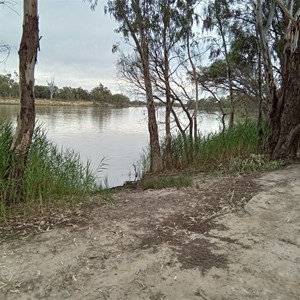 Waikerie (Holder Bend) Boat Ramp