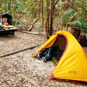 Valley of the Giants Great Walk Camp Ground
