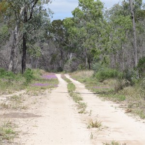 Track conditions Sept 2016