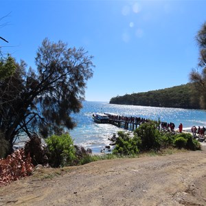 Cruise queues