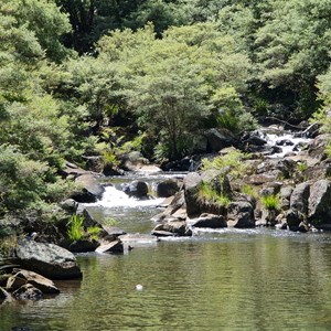 Gummi Falls