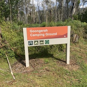Goongerah Campground