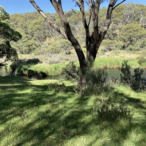 Gungarlin River Campground