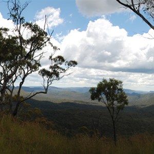 Top shelter shed 