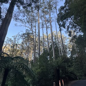 Turtons Road