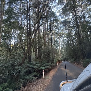 Turtons Road