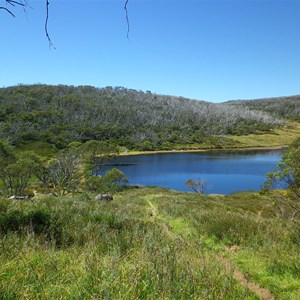 Nestled in the valley