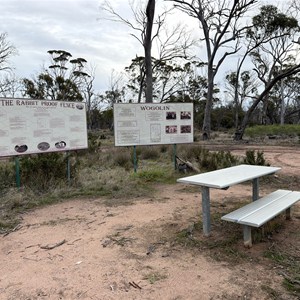 Rabbit Proof Fence
