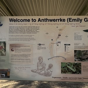 Emily Gap