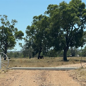 Humbert Track