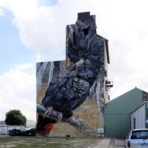 Horsham Silo Art