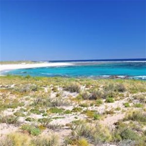 Elles Beach Camp