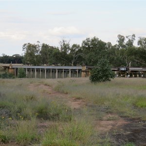 Annie Switzer Rail Bridge