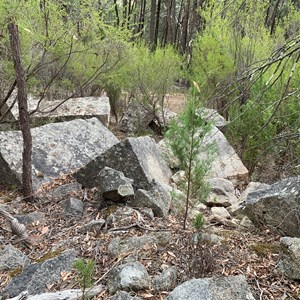 Fiddes quarry