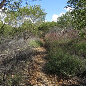 Track to lookout