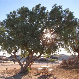 Trailhead picnic area