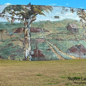 Monto Water Tank Art
