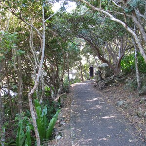 Track to headland 