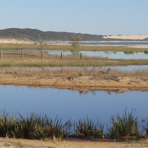 coastal wetlands