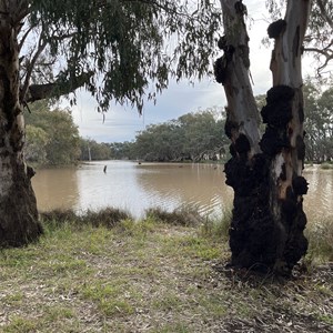 Bogan Weir Camping area