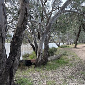 Bogan Weir Camping area