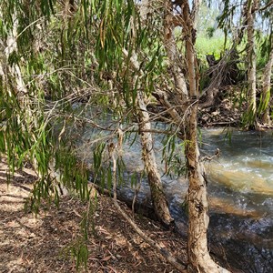 Dotswood Area Creek Crossing