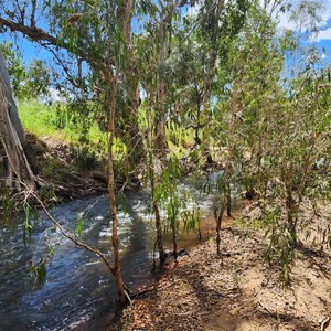 Dotswood Area Creek Crossing