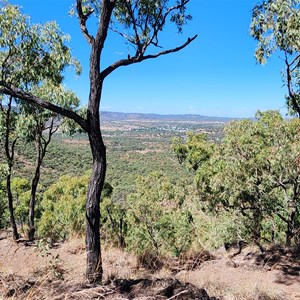 Springsure lookout