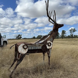 Deer