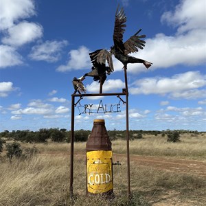 Thirsty Cockatoos