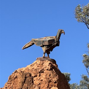 Eagle and Chicks