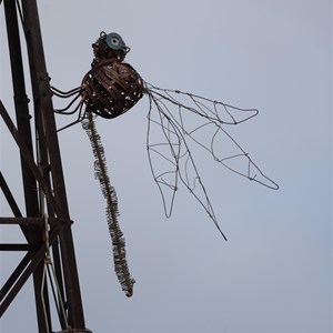 Frog & Dragonfly