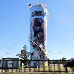 Nervertie water tower art