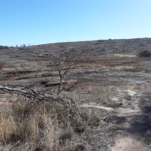 Dingo Rocks Nature Reserve