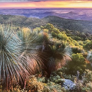Bunya Mountains
