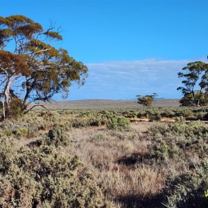 Mallee Campground