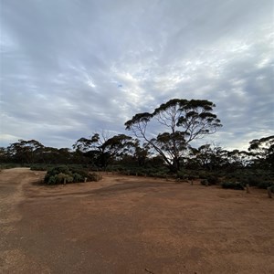 Mallee Campground