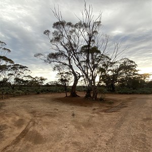 Mallee Campground