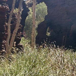 Kalamina Nature’s Window
