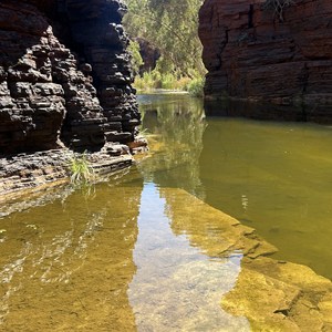Kalamina Lap Pool