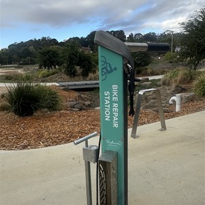 Hammon Park MTB trailhead
