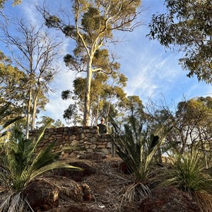 Walyunga Lookout