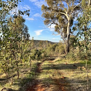 Walyunga Lookout