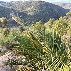 Walyunga Lookout