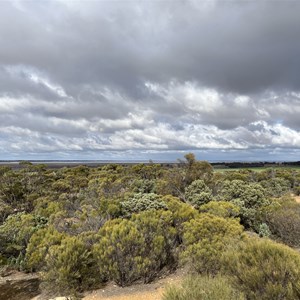 Lake Grace Lookout