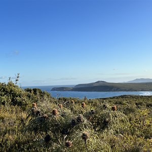 East Mount Barren